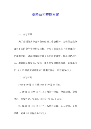 保险公司营销方案