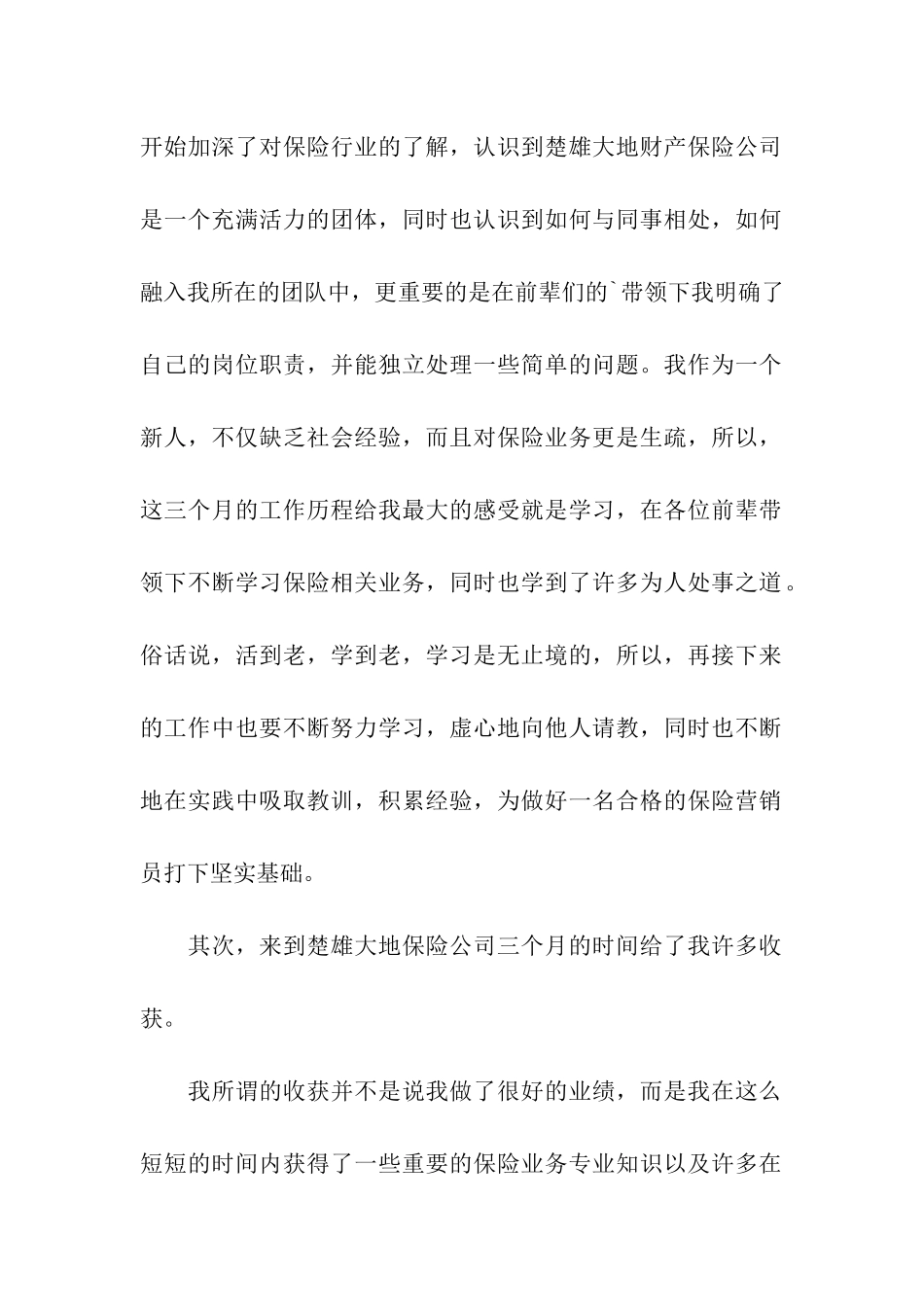 保险销售年终总结_第2页