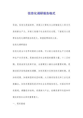 信息化调研报告格式-