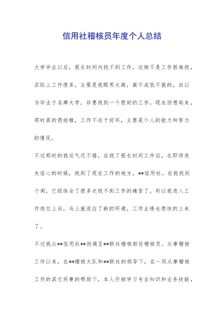 信用社稽核员年度个人总结-