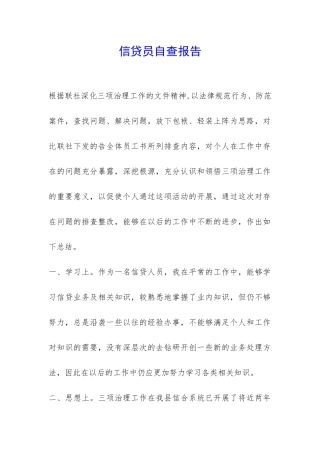 信贷员自查报告-