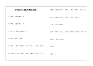 信贷风险自查报告