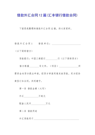 借款外汇合同12篇