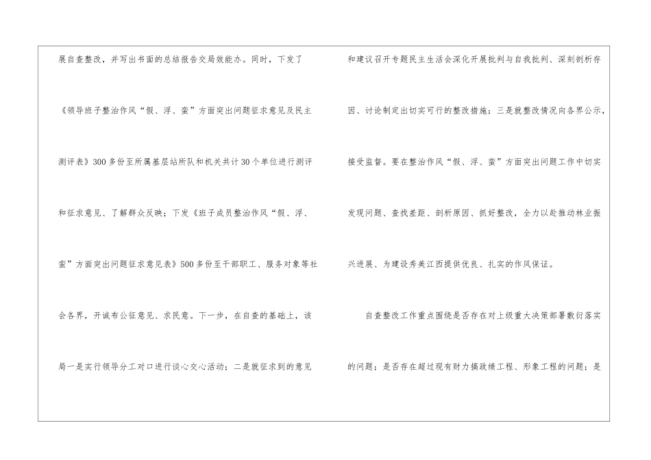 假浮蛮个人自查整改报告_第2页