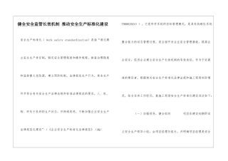健全安全监管长效机制-推进安全生产标准化建设
