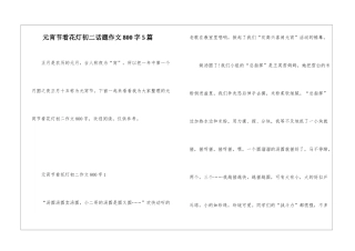 元宵节看花灯初二话题作文800字5篇