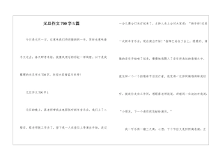 元旦作文700字5篇