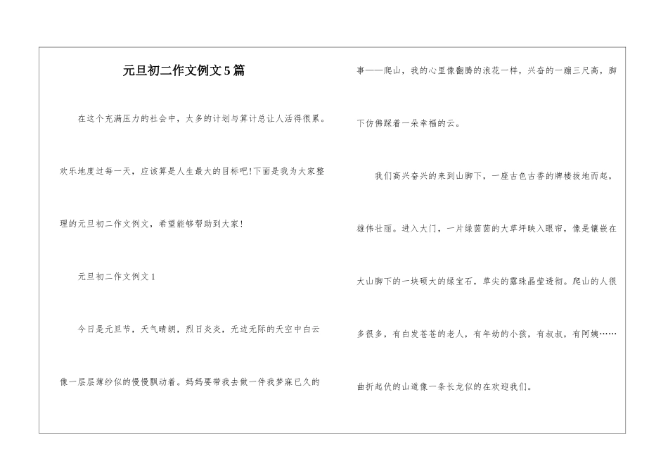 元旦初二作文例文5篇_第1页