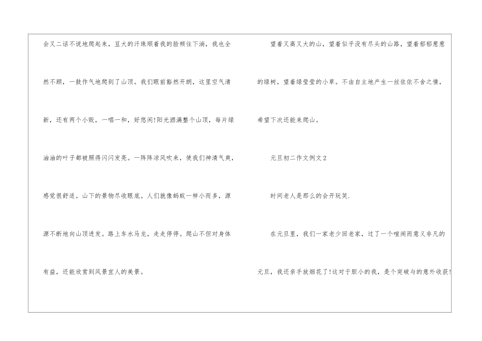 元旦初二作文例文5篇_第3页