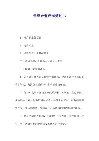 元旦大型促销策划书