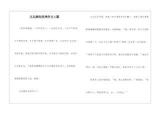 元旦游玩优秀作文5篇