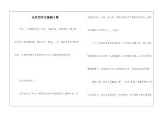 元旦的作文最新5篇