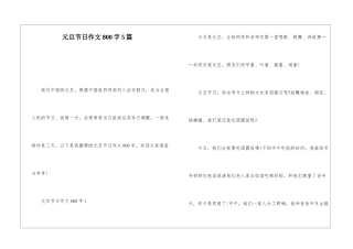 元旦节日作文800字5篇