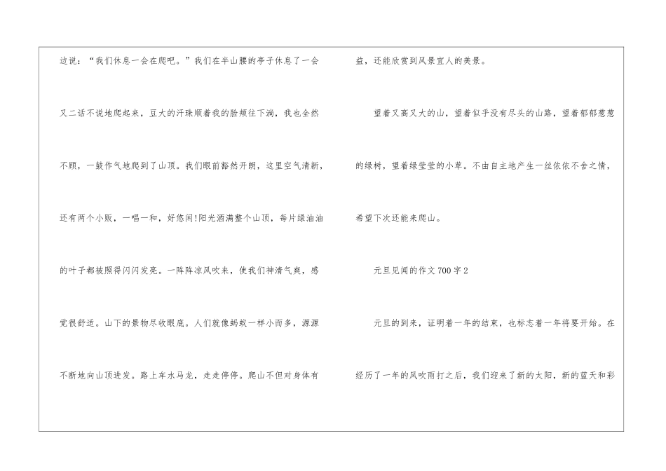 元旦见闻的作文700字5篇_第3页