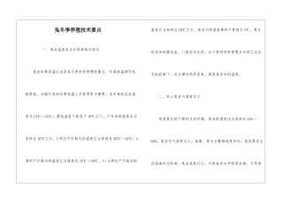 兔冬季养殖技术要点
