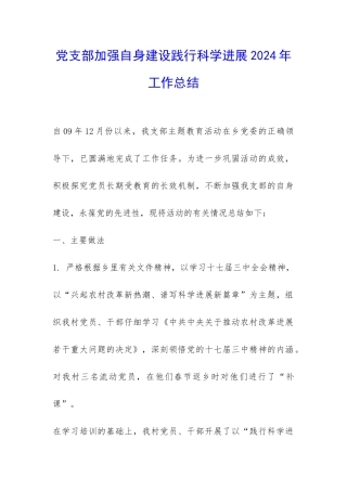 党支部加强自身建设践行科学发展2024年工作总结-