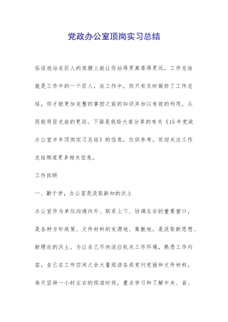 党政办公室顶岗实习总结-