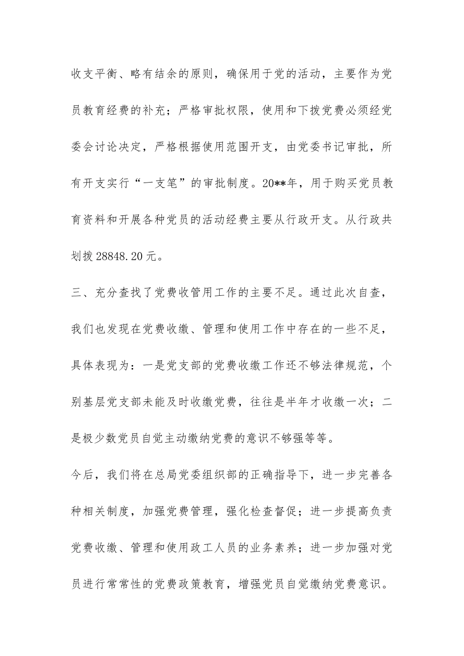 党费自查报告-_第3页