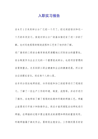 入职实习报告-