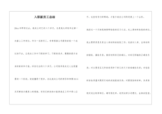 入职新员工总结