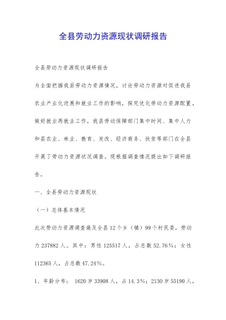 全县劳动力资源现状调研报告-