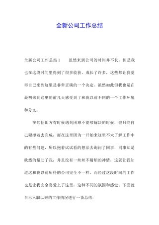 全新公司工作总结