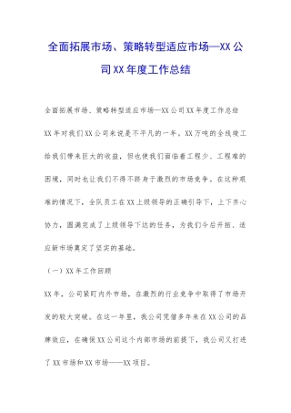 全面拓展市场、策略转型适应市场—XX公司XX年度工作总结-