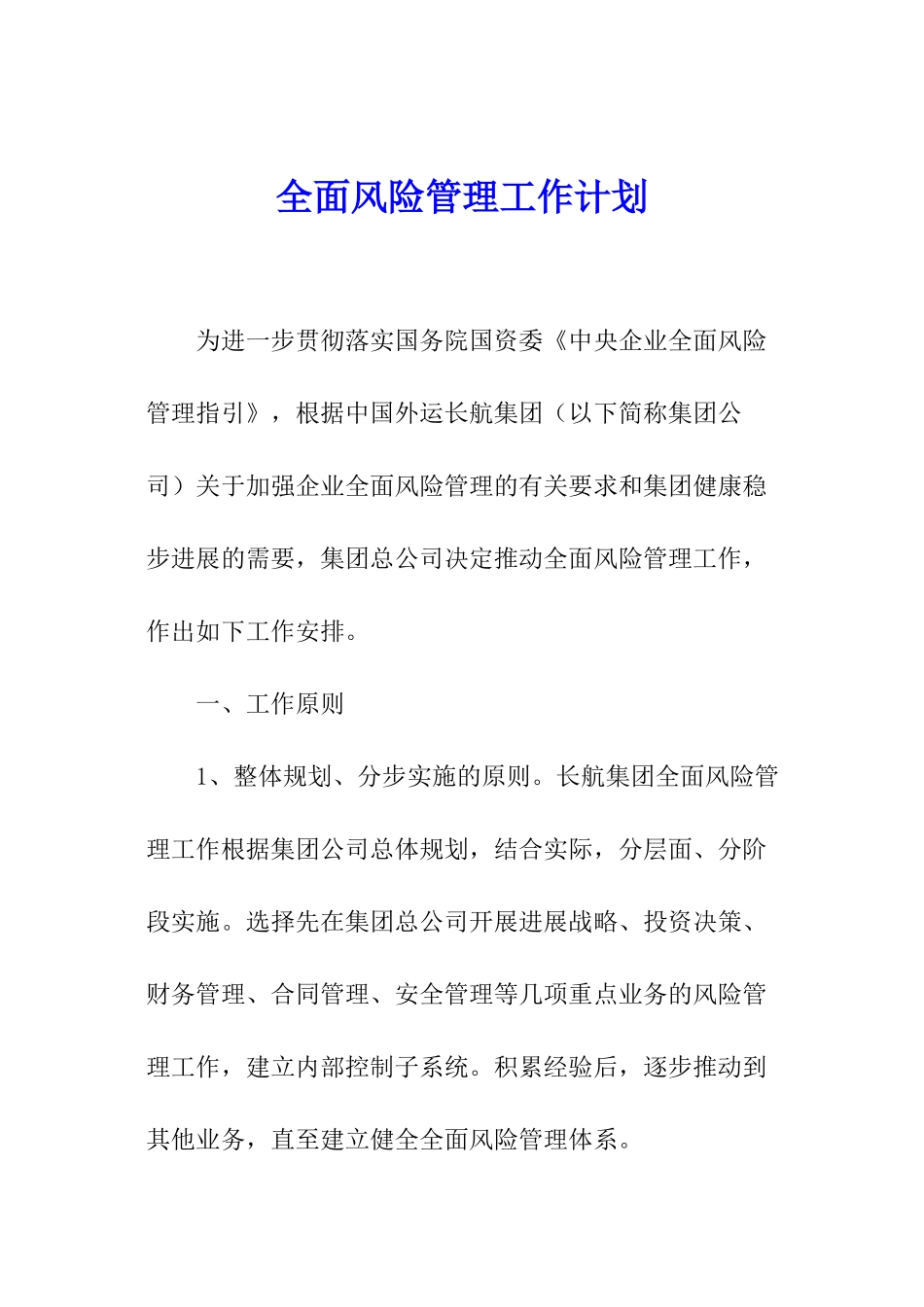 全面风险管理工作计划_第1页