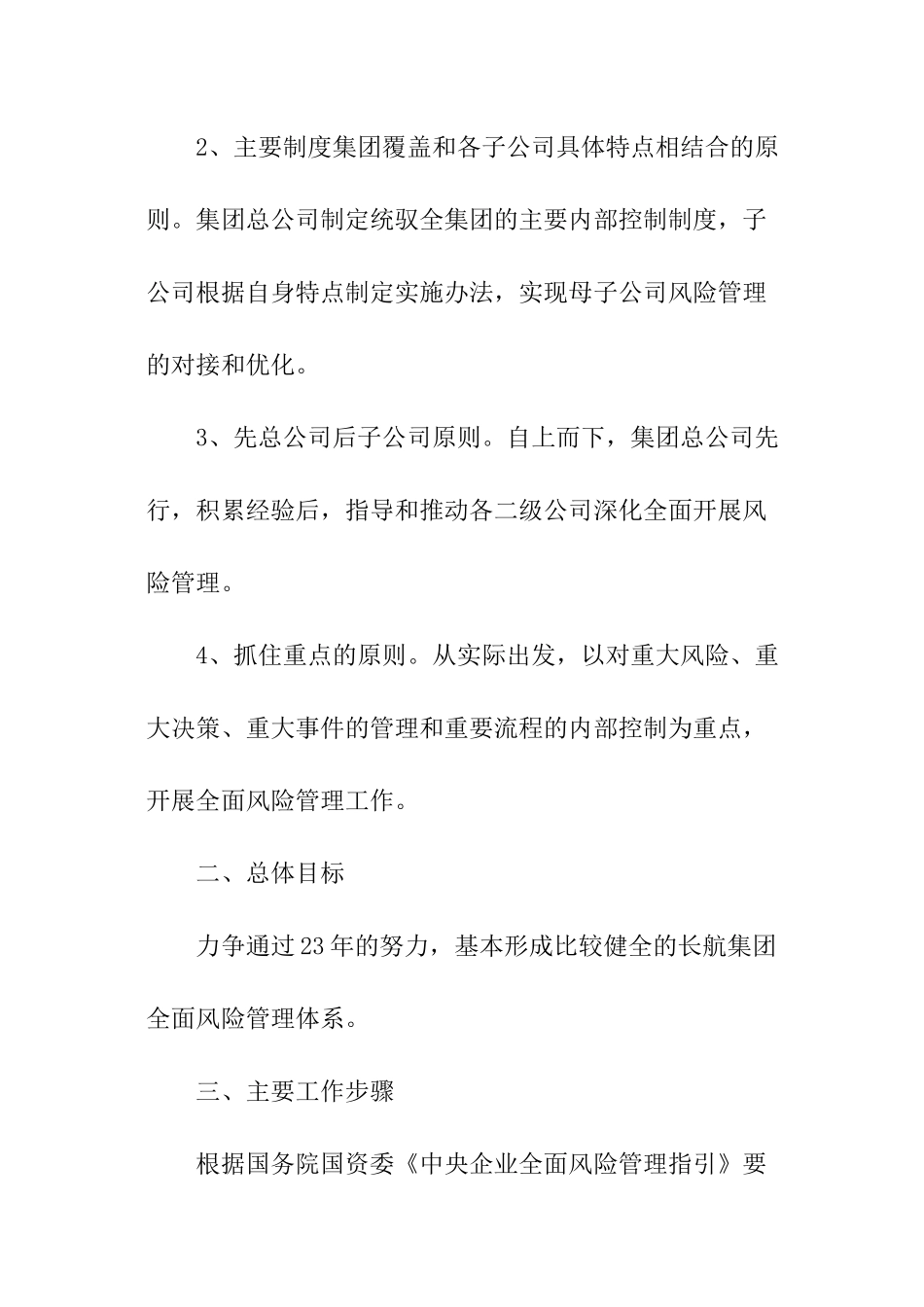 全面风险管理工作计划_第2页