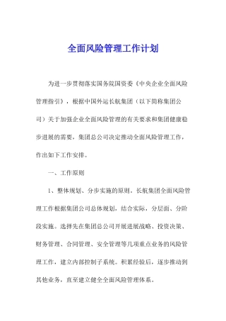全面风险管理工作计划