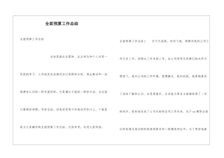 全面预算工作总结