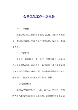 公共卫生工作计划报告