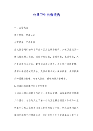 公共卫生自查报告-