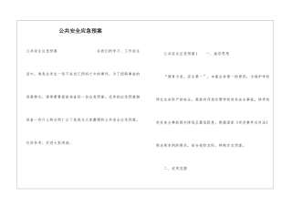 公共安全应急预案