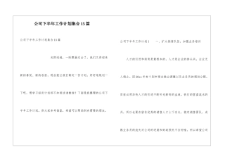 公司下半年工作计划集合15篇