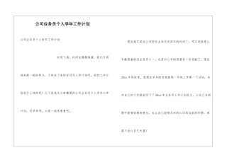 公司业务员个人学年工作计划
