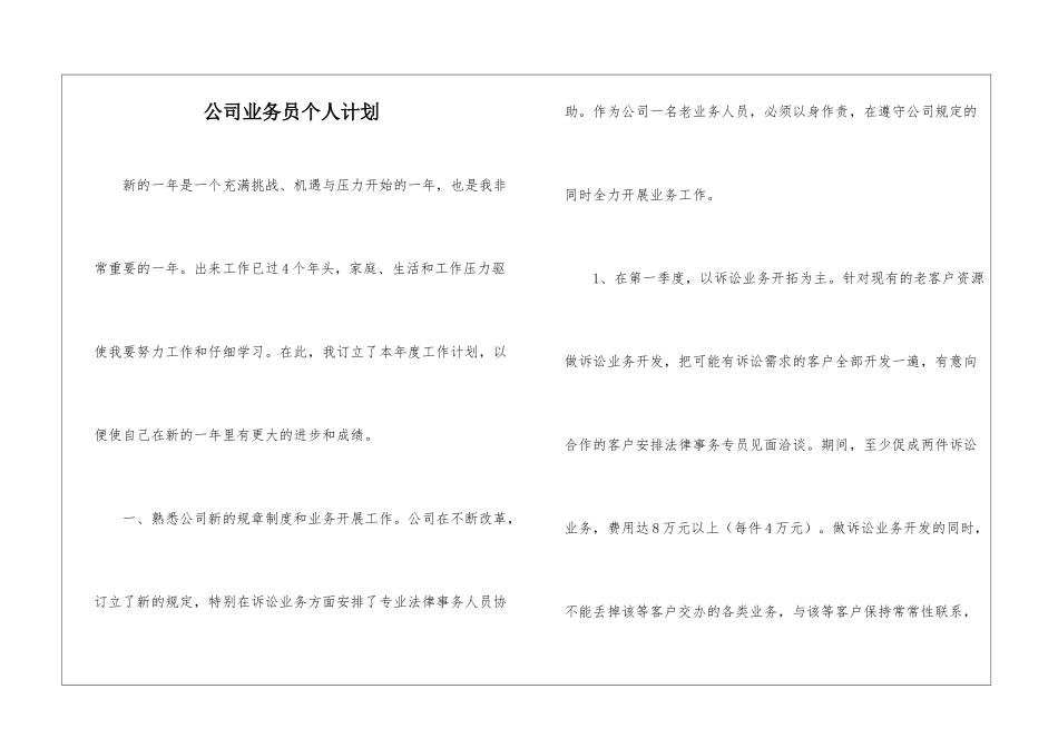 公司业务员个人计划_第1页