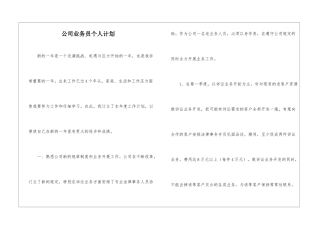 公司业务员个人计划