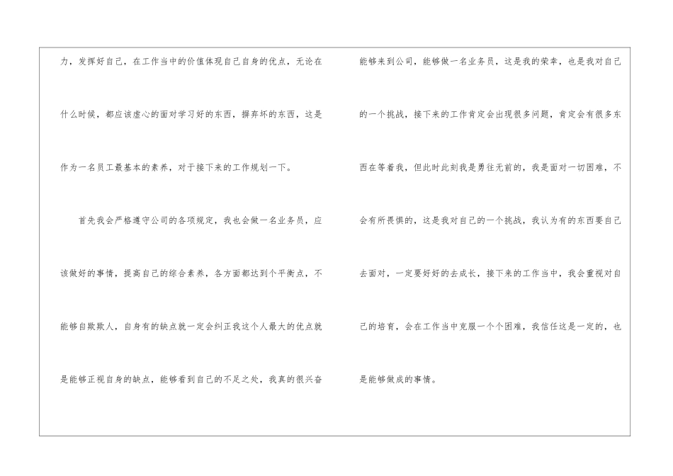 公司业务员个人工作计划4篇_第2页