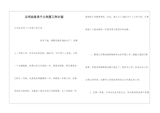 公司业务员个人年度工作计划