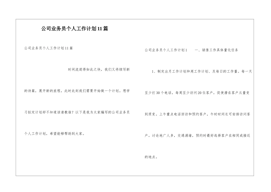 公司业务员个人工作计划11篇_第1页