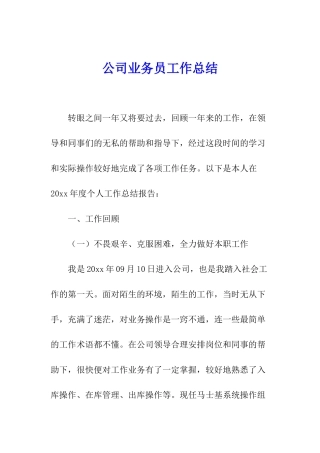 公司业务员工作总结