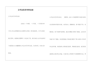 公司业务员年终总结