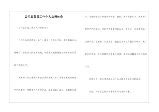 公司业务员工作个人心得体会