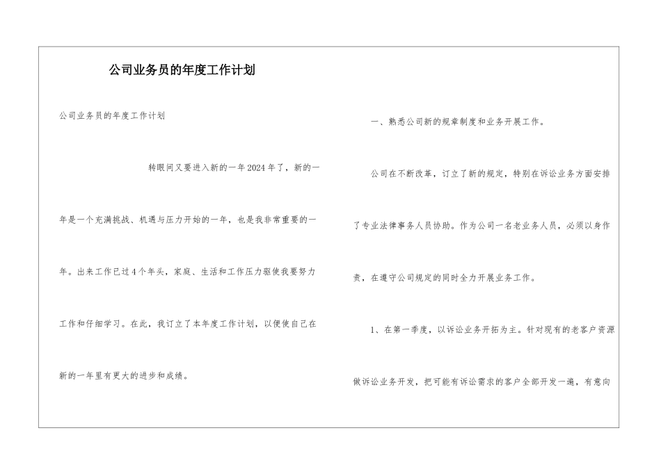 公司业务员的年度工作计划_第1页