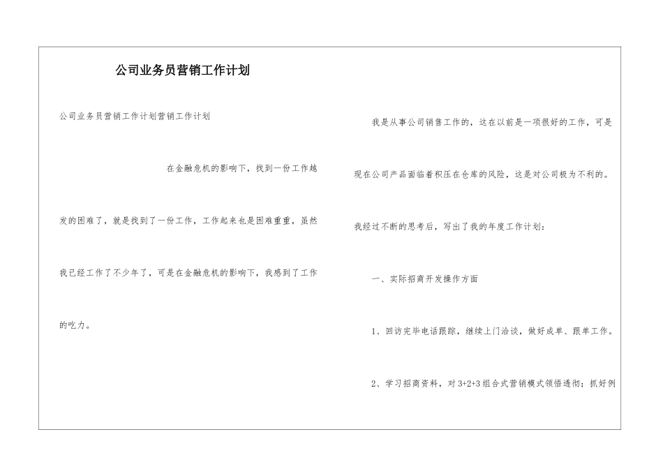 公司业务员营销工作计划_第1页