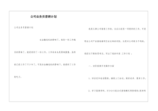 公司业务员营销计划