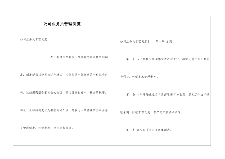 公司业务员管理制度_第1页