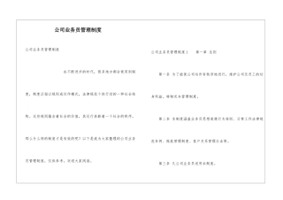 公司业务员管理制度