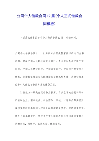公司个人借款合同12篇